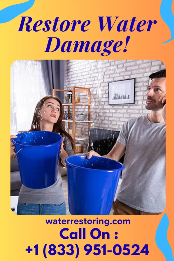 water restoration Pacific Drying Services Minnesota Lake